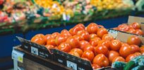 Consumers in Germany are open to buying CRISPR gene edited tomatoes, new study shows