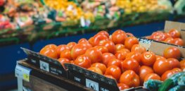 Consumers in Germany are open to buying CRISPR gene edited tomatoes, new study shows