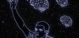 Higher education doesn’t slow the aging of the brain