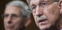 Viewpoint: Did Anthony Fauci and Francis Collins preside over lab-leak theory suppression for political reasons?