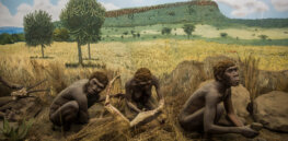 Before Neanderthals: Untangling the vast web of pre-modern human ancestors