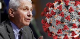 ‘Great potential harm to international harmony’: When COVID broke, key scientists believed virus could have leaked from Wuhan lab, but Anthony Fauci and Francis Collins suppressed debate