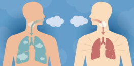 Aerobically stronger? Human lung capacity appears to be measurably expanding