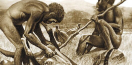 Long-standing belief that meat-eating helped drive human evolution called into question