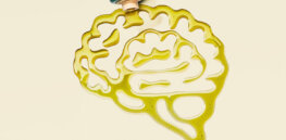 Olive oil and disease: Another study reaffirms daily consumption helps stave off heart disease, cancer, and neurodegenerative diseases