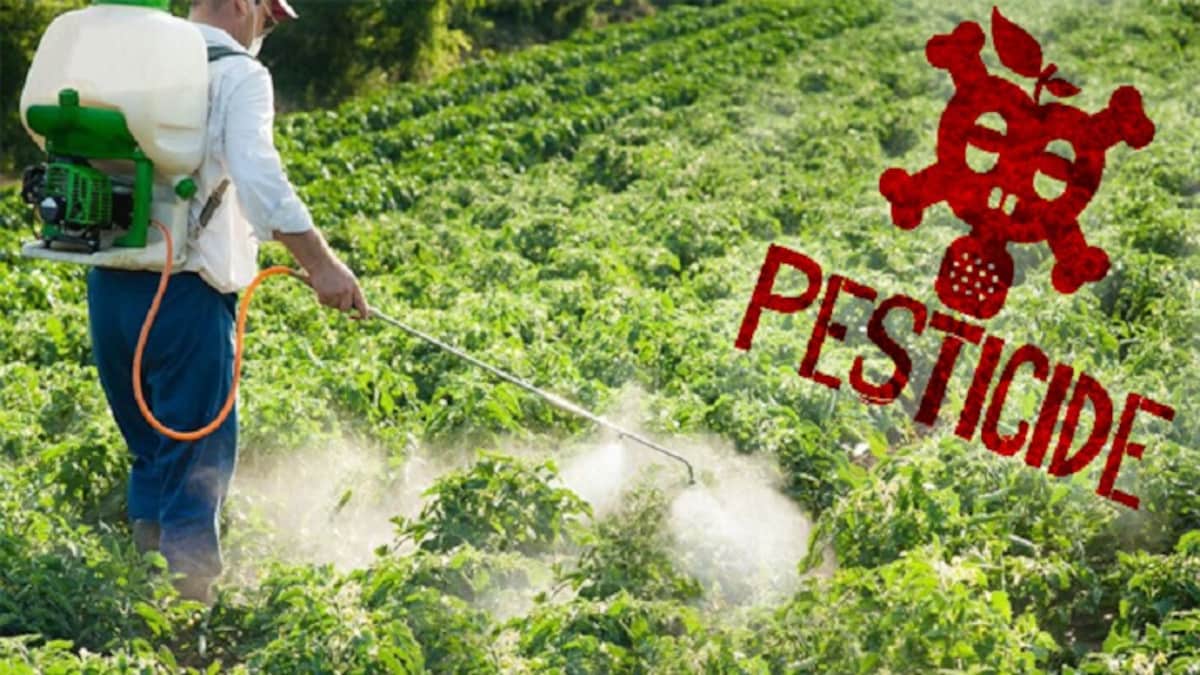 Pesticide' has become a dirty word. Here's why most fears are misplaced -  Genetic Literacy Project
