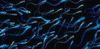 Nanocontraception: How heated nanoparticles injected in testicles might be a viable method of male birth control