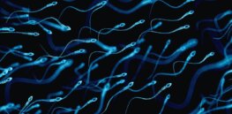Nanocontraception: How heated nanoparticles injected in testicles might be a viable method of male birth control