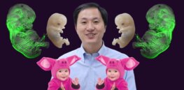 Ethics in the age of CRISPR babies: China mulls how to care for gene edited babies as researcher who created them exits jail