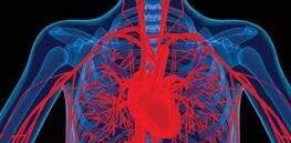 Can you worry yourself to death? Anxiety increases risk of heart disease in men