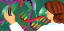 Genetically-selected crop breeding has increased yields more than 600% over 2 centuries. Gene editing could dramatically accelerate that