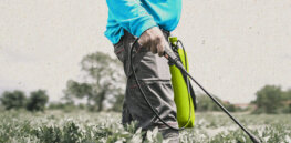 Viewpoint: What is a ‘pesticide prescription program’ — and is it a better option than many chemical regulations?
