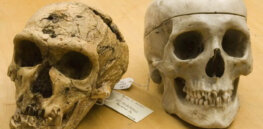 Here is evidence of recent human evolution. Will it help us adapt to rapid climate change?