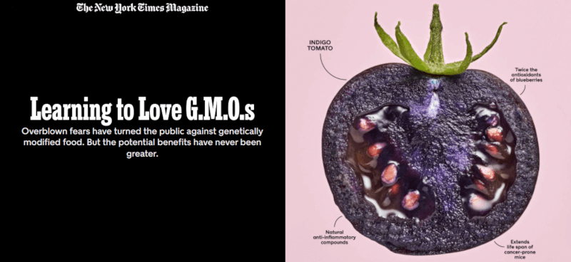 learning to love gmos
