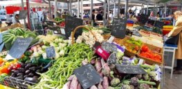 Viewpoint: Challenging organic advocates' claims that agroecology and regenerative farming can sustainably feed France