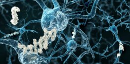 How CRISPR gene editing might soon protect us against Alzheimer’s