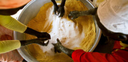 Complicating food security: Trade-offs exist between strict conservation measures and global human health, study finds