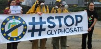 New Zealand scientist challenges ‘scaremongering’ about herbicide glyphosate