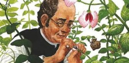 Genetics has come a long way since Gregor Mendel mapped inheritance using peas: Deconstructing the muddle of genetics and inheritance
