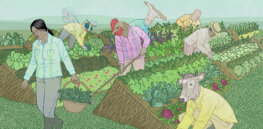 Viewpoint: Why it’s reasonable to question if regenerative agriculture is really more sustainable than conventional farming