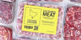 Cell-based meat products are still in their infancy. Will cultured protein help reduce the environmental impact and welfare concerns of livestock farming?