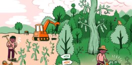 Farming sustainability study: What climate benefits could widespread adoption of genetically modified crops bring to Europe?