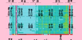 It’s been almost 20 years since the first crude map of the human genome was released. Here’s what we’ve learned