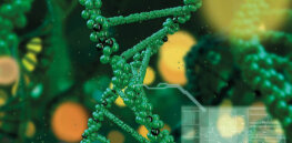We need to double food production by 2050. Here’s how genetically tweaking cowpea, soybean, and potato could help meet that target