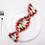 strand of dna genetics