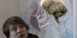 Studying the human brain is challenging. Here are two ethically controversial ways it can be done