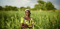 Viewpoint: With Africa embracing genetically modified crops, efforts should expand to include small-scale farmers