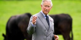 Viewpoint — Prince Charles’ ongoing rejection of GM, biotechnology-inspired crop advances is the latest example of celebrity disinformation on science