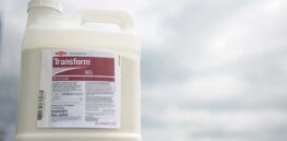 Viewpoint: ‘Green’ anti-pesticide activists spread misinformation about more environmentally-friendly sulfoxaflor insecticides
