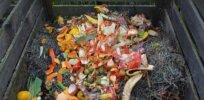 A five-star recipe for cutting food waste?