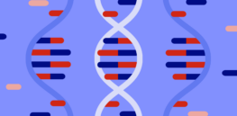 Genetic genealogy leads to unexpected — and sometimes destabilizing — revelations