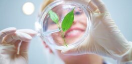Will climate change threats force crop biotechnology skeptics to rethink opposition to food innovation?