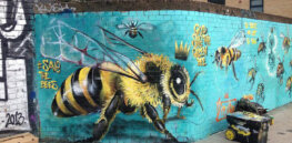 Viewpoint: Human activity and modern agriculture are threatening pollinators
