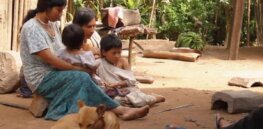 ‘We’re in a race for solutions’: Why do these two Amazon tribes have such low dementia rates?