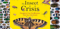 ‘The Insect Crisis’ book review: From climate change to habitat loss to chemicals, what’s behind the die off of insect populations?