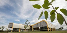 How seed gene banks are preserving biodiversity and providing a hedge against climate change