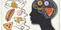 How the brain puts the brakes on overeating