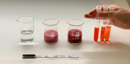 Viewpoint: Natural  ≠ better—RFK, Jr.’s recommended ban on artificial dyes provides the ‘illusion of meaningful action’ but no health benefits