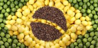 Brazilian researcher exposes ‘magical thinking’ of agroecology advocates and GMO opponents