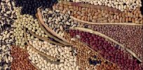 Viewpoint: GMO cowpea can support biodiversity