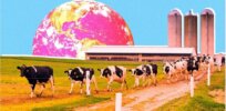Viewpoint: How transparent are global meat and dairy companies in disclosing their impacts on climate change?