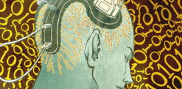 How do the ‘communication cables’ of the brain work?