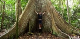 How gene editing could create carbon-sucking trees to help address the climate crisis
