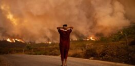 ‘Window to act is closing’: Climate change is already devastating our global food system, UN report co-author says