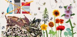 Viewpoint: Why we should think twice about reflexively banning agricultural pesticides