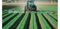 pesticides